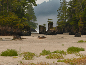 San Josef Bay, Cape Scott