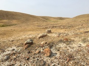 A Rock's Resting Place