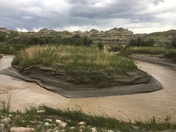 Island in the Red Deer River