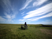 By the sea to bird rock