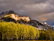 Rocky Mountain Autumn 