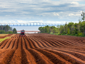red lines to the bridge 