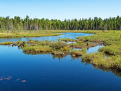 Quietude at Algonquin Provincial Park, Ontario