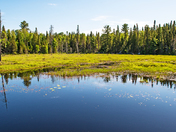 Tranquility at Algonquin Provincial Park, Ontario