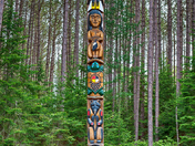 Let it Stand! at Algonquin Provincial Park