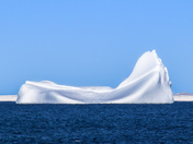 iceberg nl