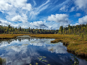 Fall impressions at Algonquin Provincial Park