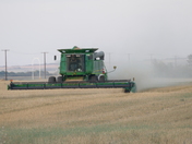 Combining Wheat