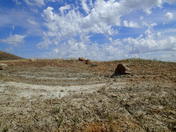 Lake Diefenbaker in Summer