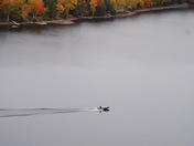 Algonquin Highlands Bloom with colour