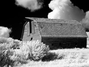 Old Barn