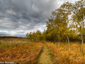 Autumn in Alberta 