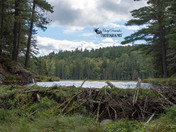 Beaver Pond Trail