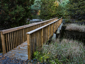 The Bridge to Autumn