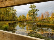 A Window or a Mirror