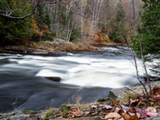 Autumn In Algonquin Park