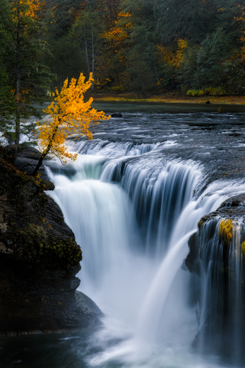 Share the Experience 2023 - Entry Info - Gifford Pinchot National Forest