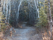 Bird's Hill Provincial Park
