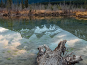 Goodnight Three Sisters...