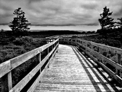 PEI National Park Boardwalk