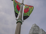 The Canadian Tulip Festival