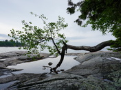 Katherine Cove Scenic