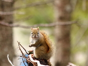 Something on my face?