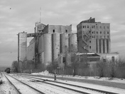 Elevator with pigeons
