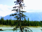Kooteney National park