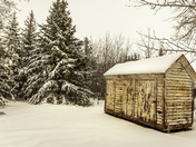 White Shed in Alberta