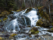 Big Hill Spring Lower Falls - Portrait