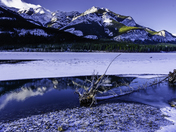 Log in Frozen Barrier Lake