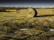 Three Hay Bales, Winter Mountains