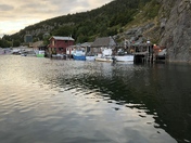 Quidi Vidi Harbour