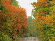 Fall in Algonquin Park