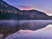 Gone but not forgotten 