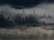 Land Of The Ancestors