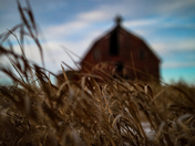 A Lonely Saskatchewan Barn