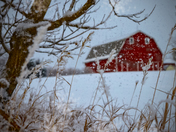 A Red Barn Against a Saskatchewan Snowfall