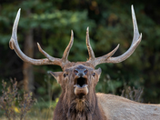 I accept all Challengers!