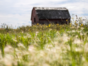 Abandoned Saskatchewan Barn