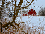 White Snow - Red Barn