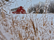 Winter in Rural Saskatchewan