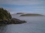 A Foggy Newfoundland Coast