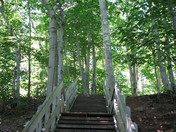 Stairs in the woods 
