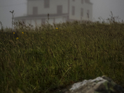 Ferryland Lighthouse, Newfoundland