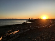 I find my happiness where the sun shines!