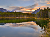 Going down at Herbert 