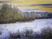 Winter Prairie Sunset over Frosty Trees