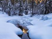 Follow the creek to the gold!